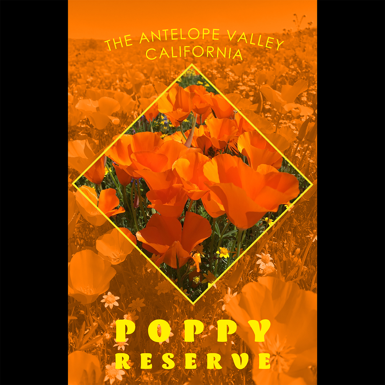 Poppy Reserve Poster